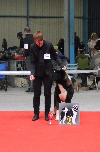 mara shima's Don abbondio - 2 eme exc en Classe ouverte