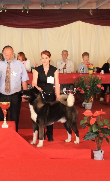 mara shima's Don abbondio - Meilleur de race et troisième du groupe 5