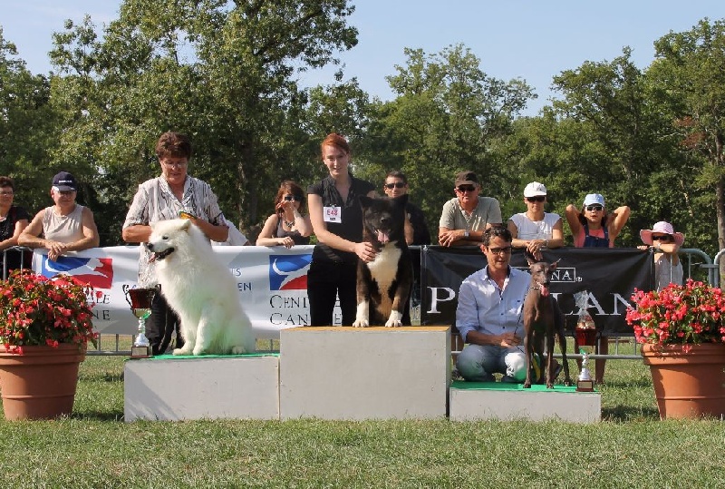 mara shima's Don abbondio - CACS Meilleur de race et BOG