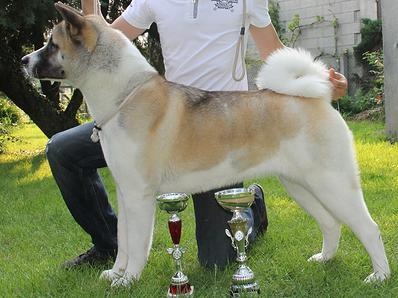 Grown to be the best Ultimate signature - C.A.C.S