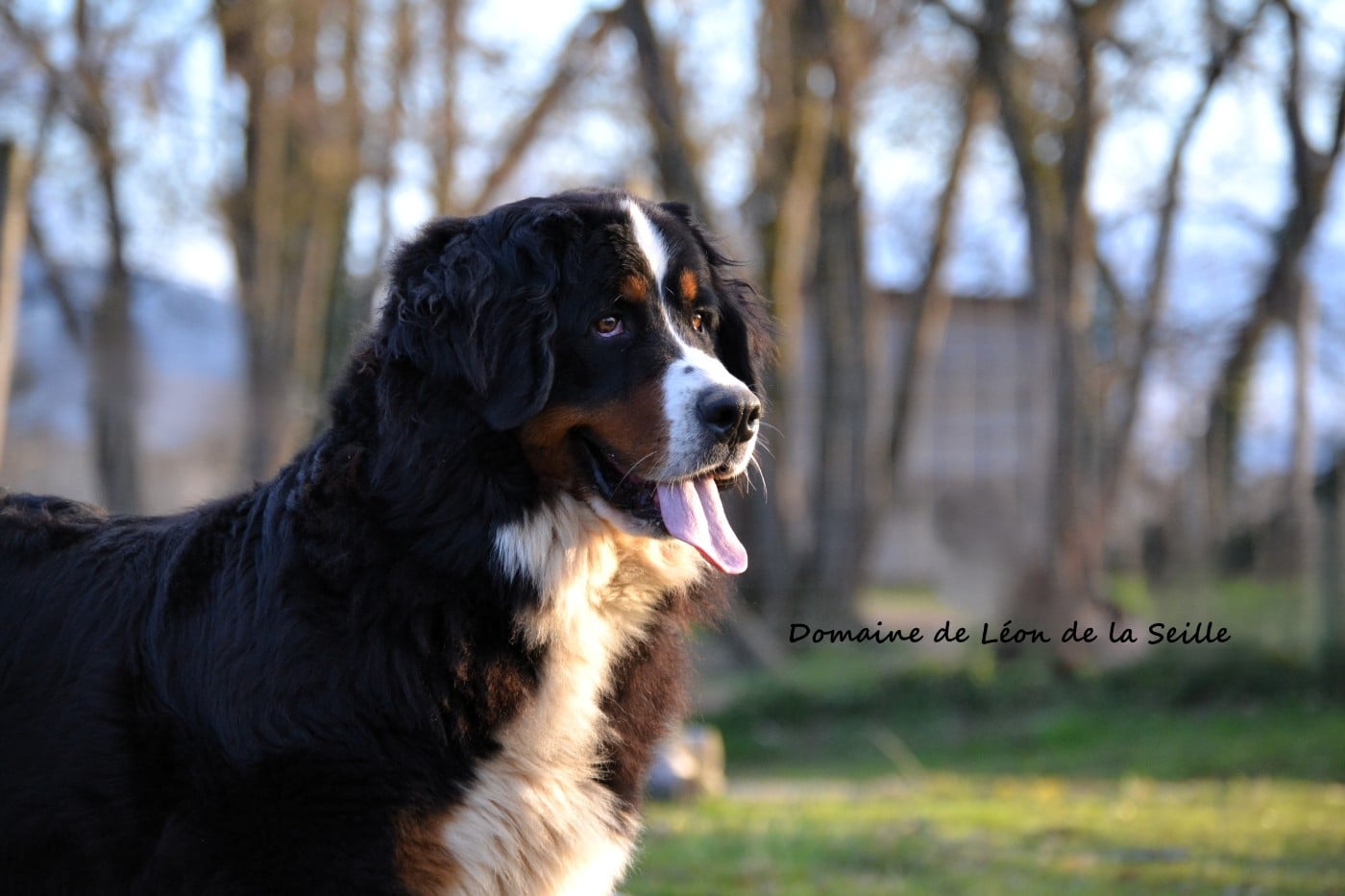 VALENCIA du roi des lacs