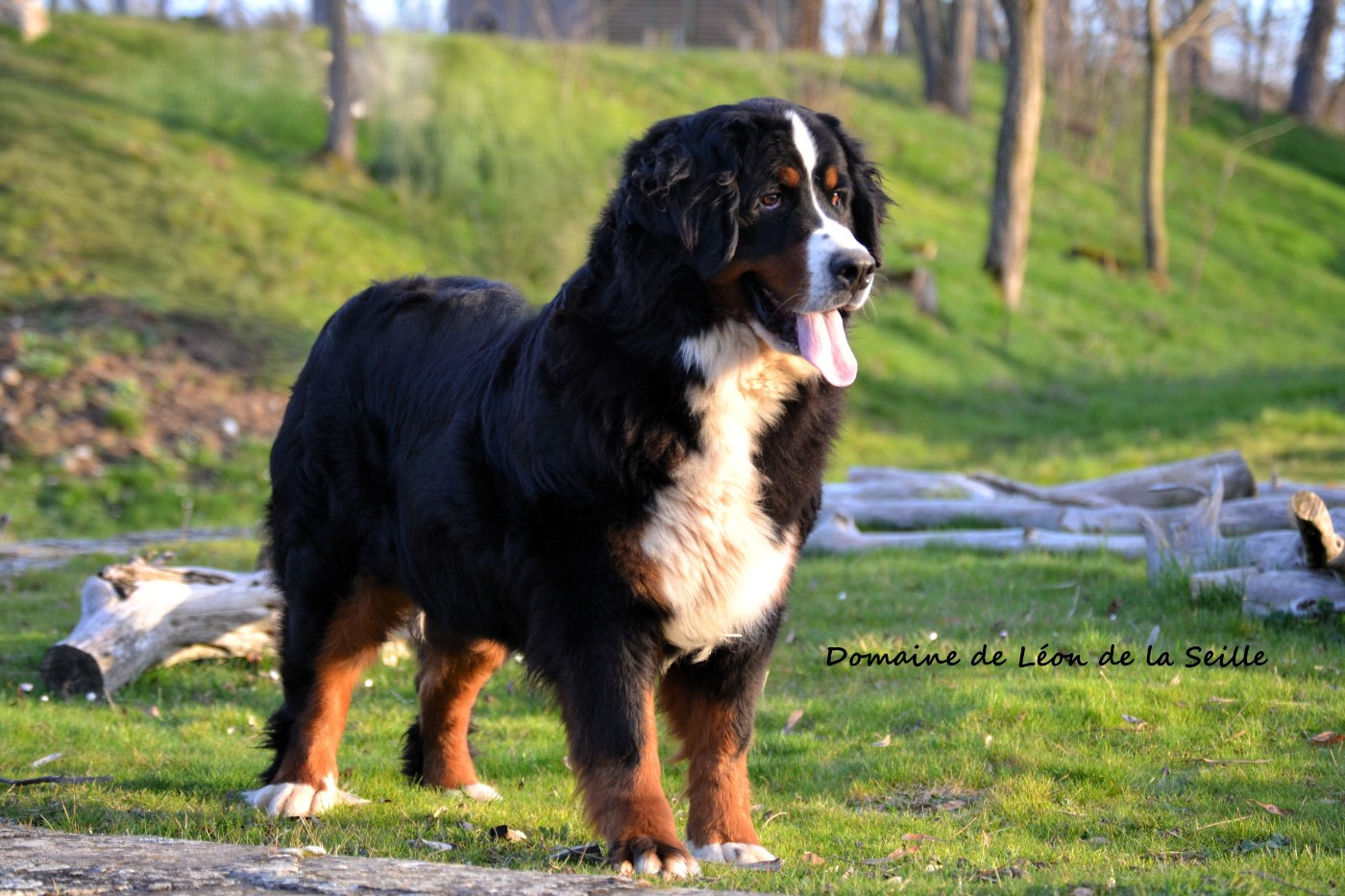 VALENCIA du roi des lacs