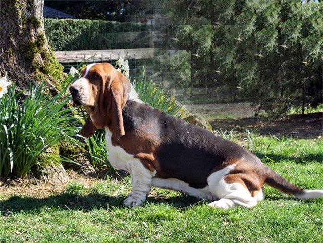 Publication : du Domaine De Léon De La Seille