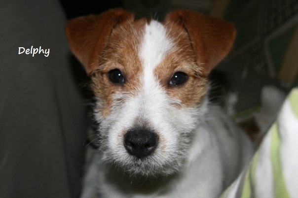 Publication : du Domaine De Léon De La Seille