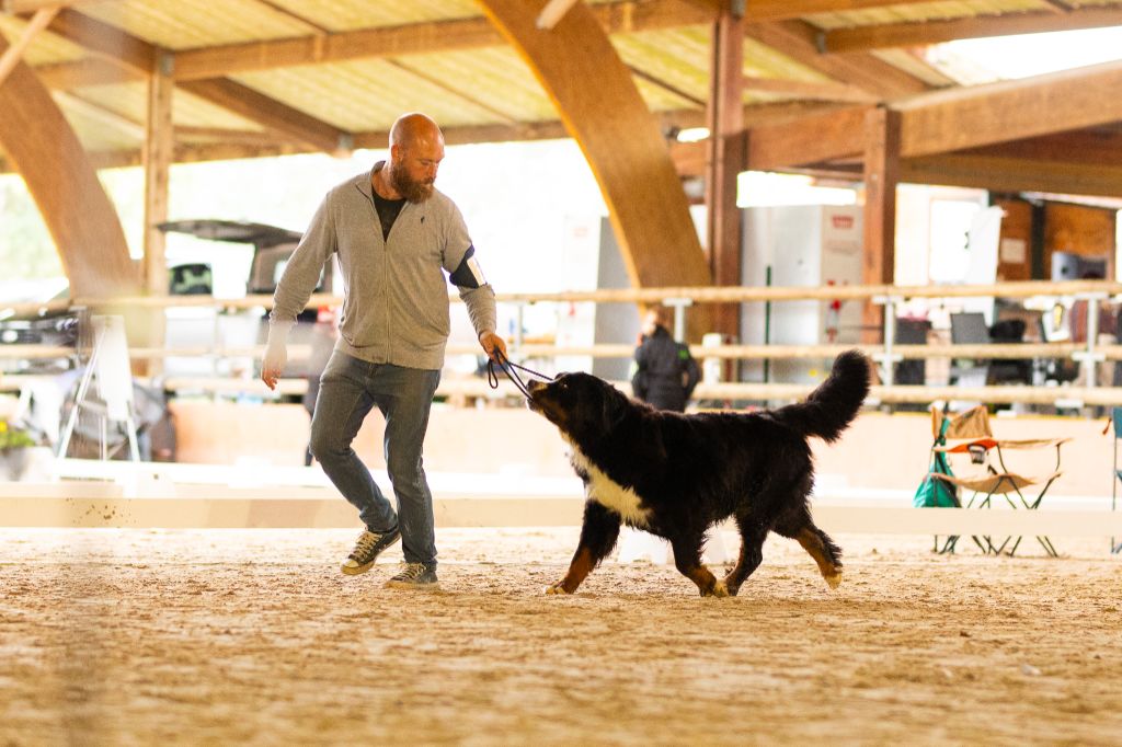 Trafalgar magic du Domaine De Léon De La Seille