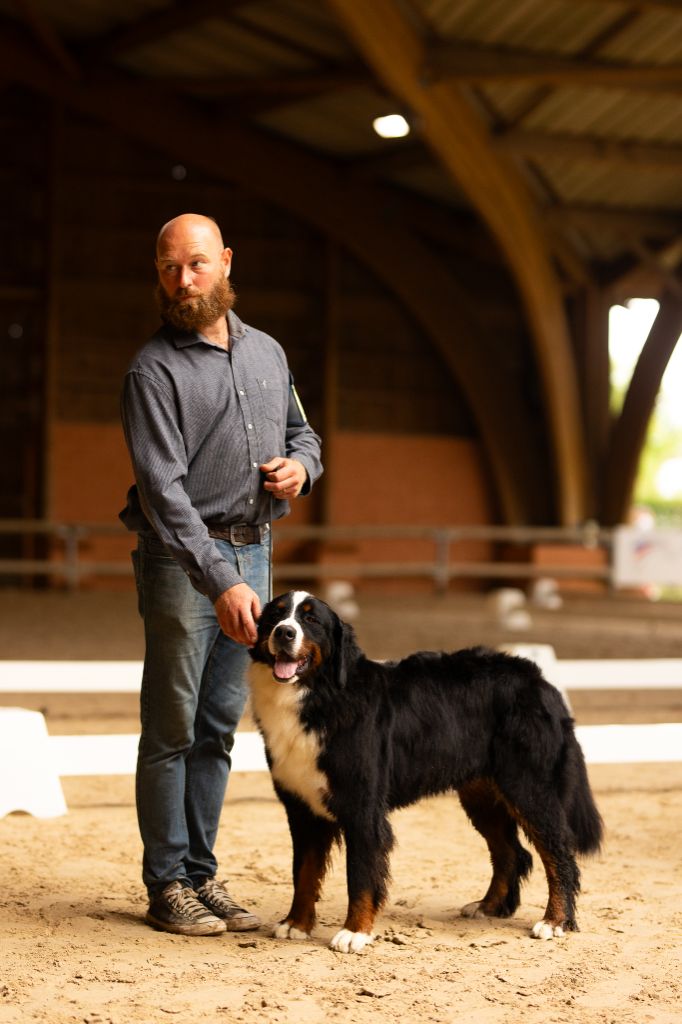 Una madrigal mivida du Domaine De Léon De La Seille