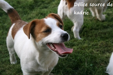 Publication : du Domaine De Léon De La Seille