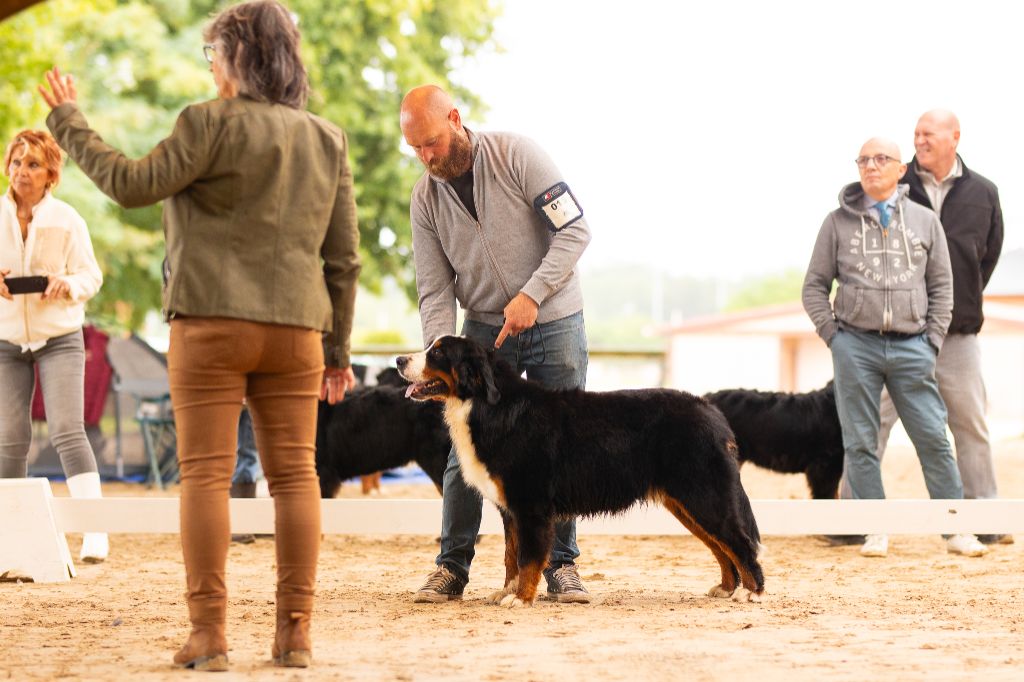 Vador dark vador du Domaine De Léon De La Seille