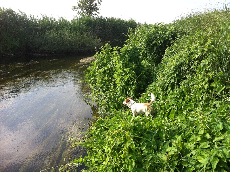 Publication : du Domaine De Léon De La Seille