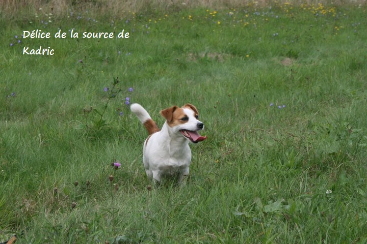 Publication : du Domaine De Léon De La Seille