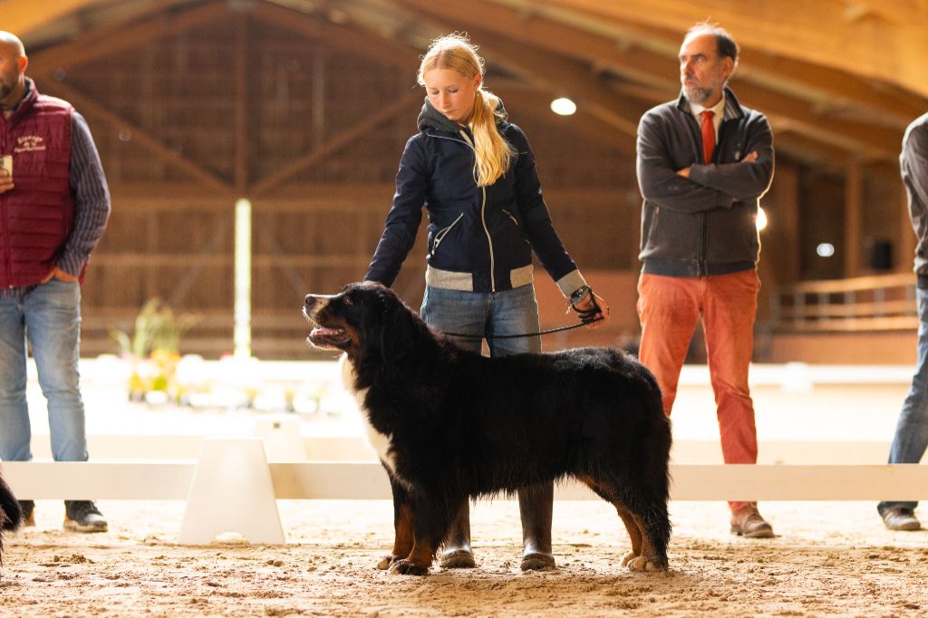 Trafalgar magic du Domaine De Léon De La Seille