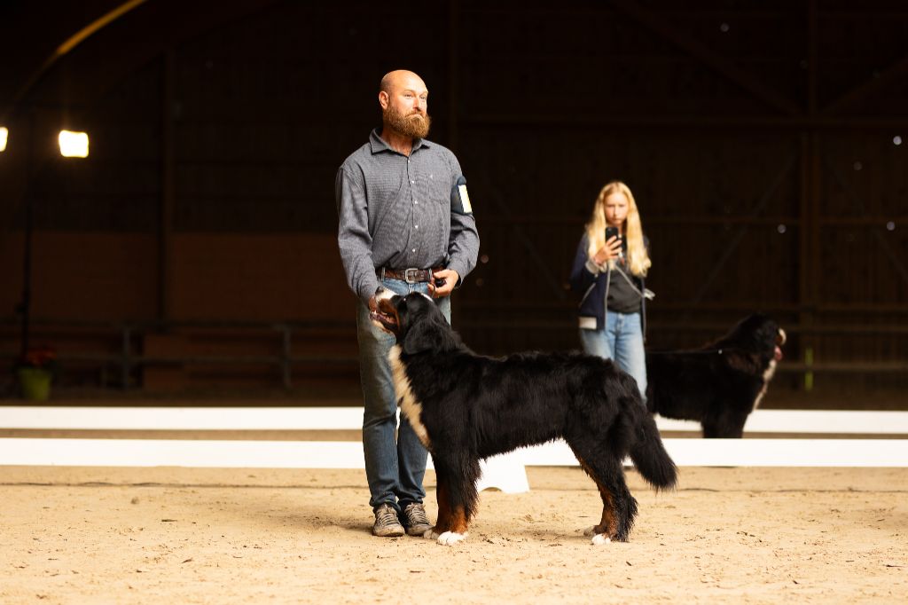 Una madrigal mivida du Domaine De Léon De La Seille