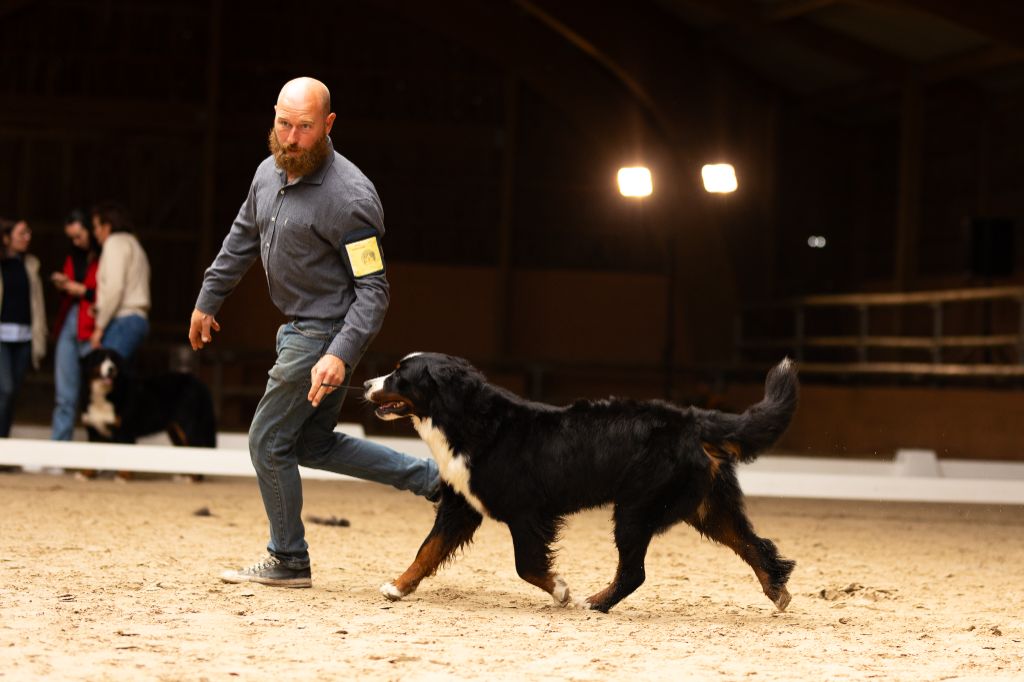 Una madrigal mivida du Domaine De Léon De La Seille