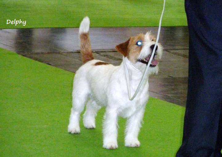 Publication : du Domaine De Léon De La Seille