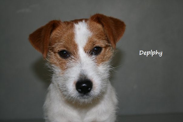 Publication : du Domaine De Léon De La Seille