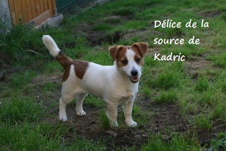 Publication : du Domaine De Léon De La Seille