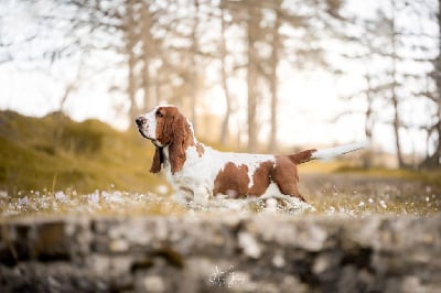 du Domaine De Léon De La Seille