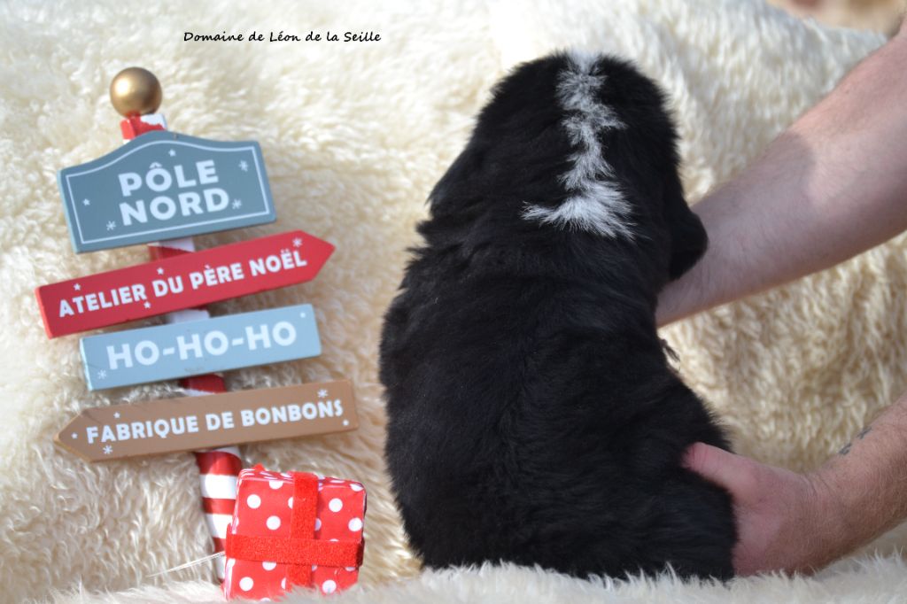 A ONIX DU DOMAINE DE LEON DE LA SEILLE