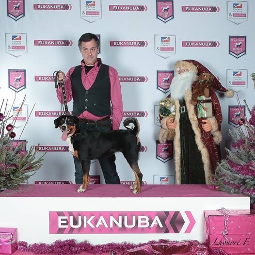 CH. Lothlorien du Drakkar d'Odin - Nantes Spéciale de Race 1er Excellent - CAC - BOS