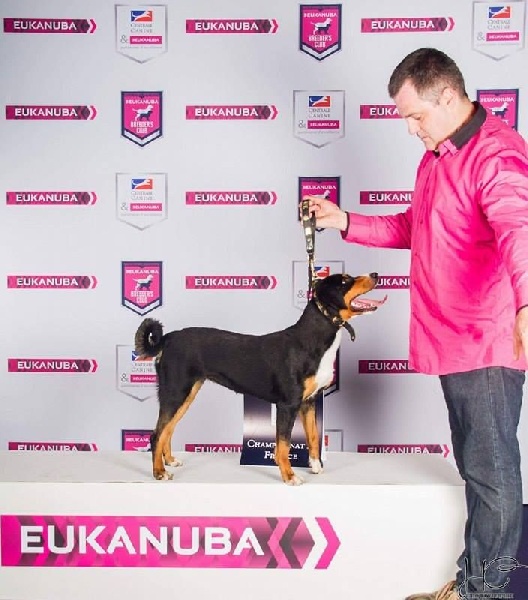 CH. Lothlorien du Drakkar d'Odin - 1er Excellent - CAC - CACIB - BOS