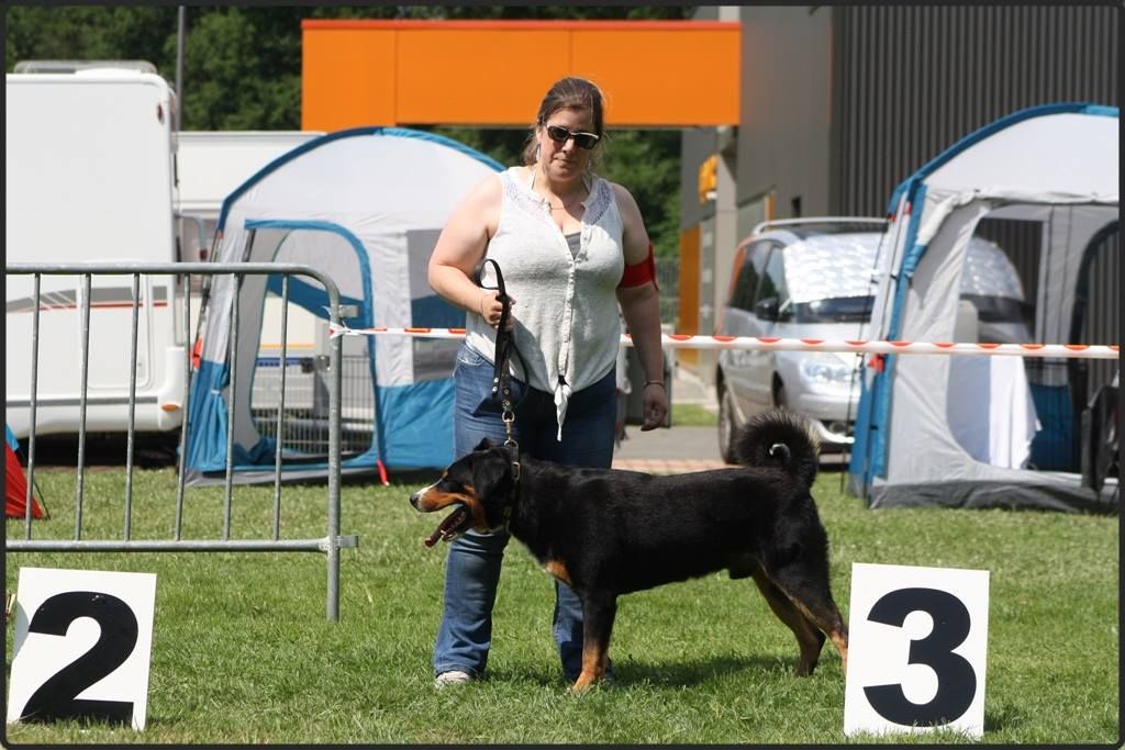 CH. Loki du Drakkar d'Odin - 2ème Excellent