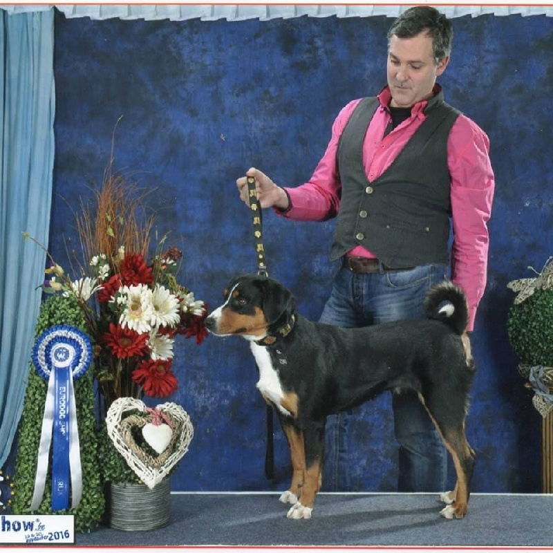 CH. Lothlorien du Drakkar d'Odin - Eurodogshow Courtrai (Belgique) 1er Excellent - CAC - CACIB - BOB
