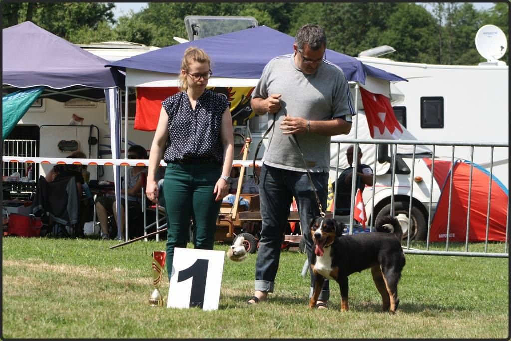 CH. Lothlorien du Drakkar d'Odin - 1ère Excellent en classe Championne Meilleure Femelle BOS