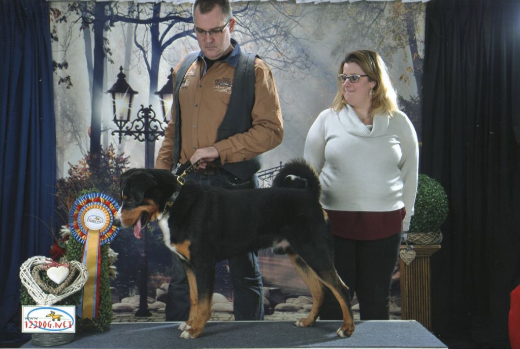 CH. Loki du Drakkar d'Odin - 1er Excellent en classe Champion