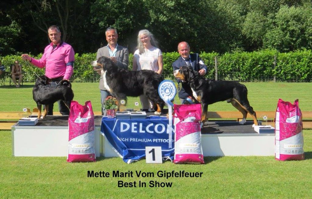 CH. Lothlorien du Drakkar d'Odin - NE Belgique BKZS 1ère Excellente CAC et BOB Meilleur de Race