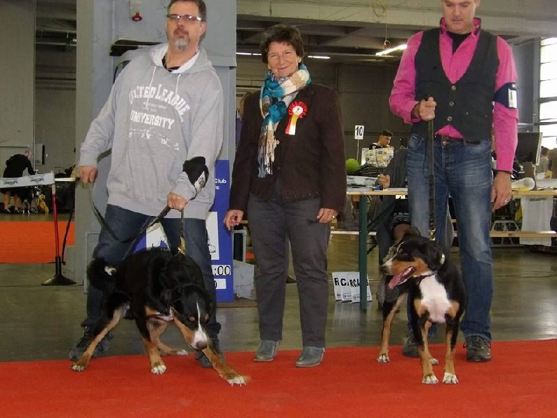 CH. Lothlorien du Drakkar d'Odin - 1er Très Bon