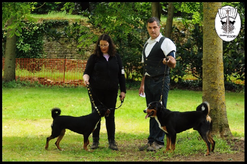 CH. Lothlorien du Drakkar d'Odin - 1er Excellent - CAC - BOS