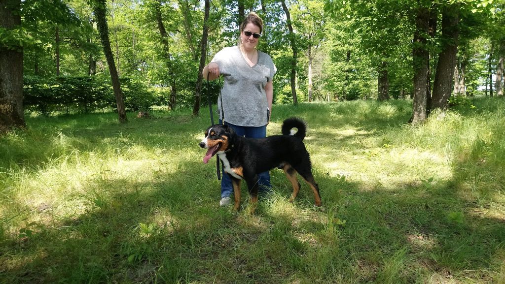 CH. Loki du Drakkar d'Odin - 3ème Très Bon