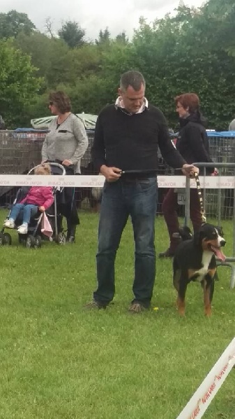 CH. Loki du Drakkar d'Odin - 1er Excellent - CACS - BOB