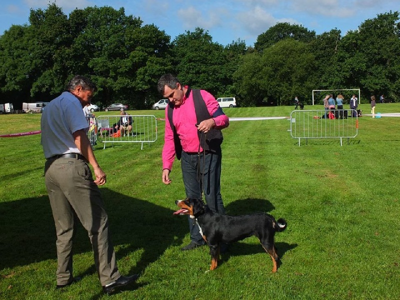 CH. Lothlorien du Drakkar d'Odin - 1er Excellent