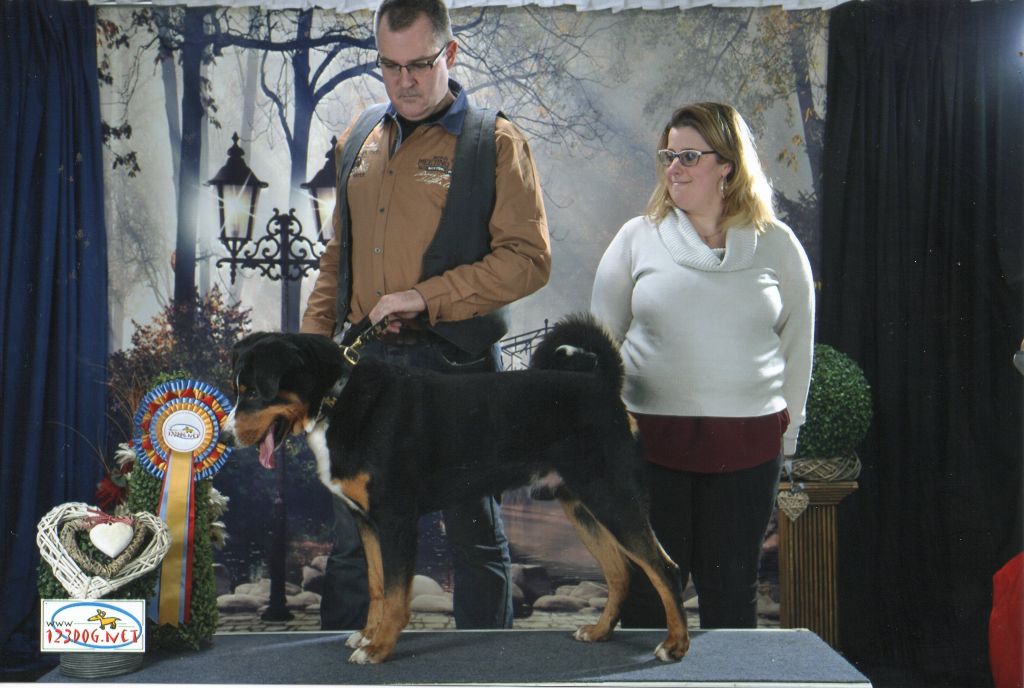 CH. Loki du Drakkar d'Odin - Mouscron 1er Très Bon