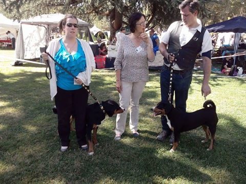 CH. Lothlorien du Drakkar d'Odin - 1er Excellent - CAC - CACIB - BOS