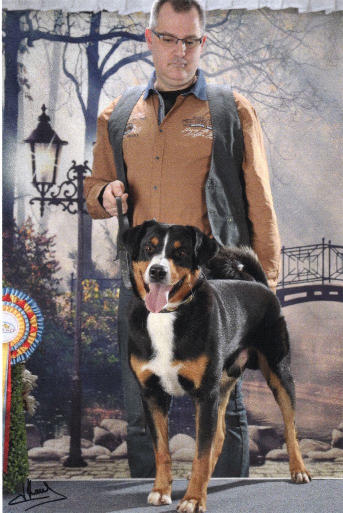 CH. Loki du Drakkar d'Odin - 1er Excellent en classe Champion CACIB et Meilleur de Race BOB