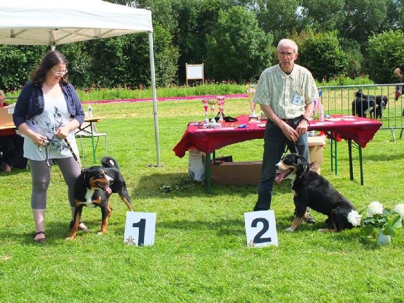 CH. Loki du Drakkar d'Odin - 1er Excellent - BOB