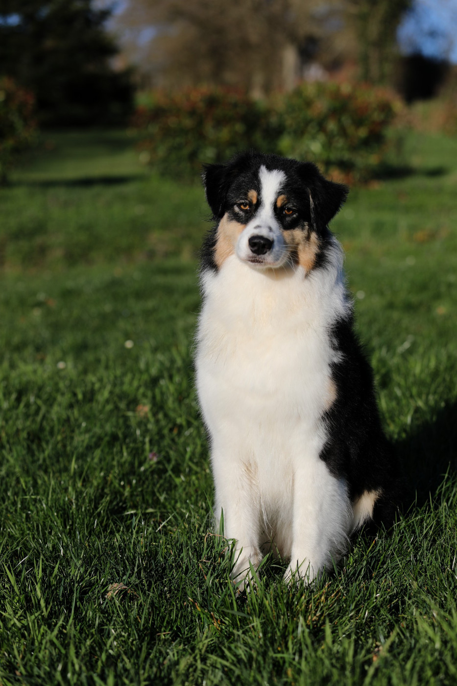 Publication : Of Low Highland