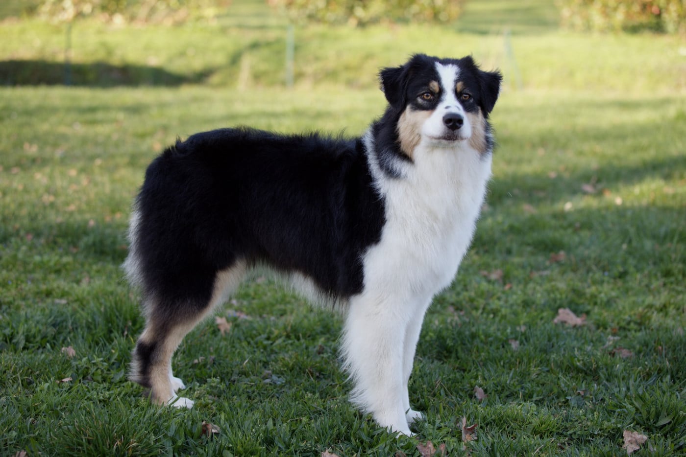 Publication : Of Low Highland