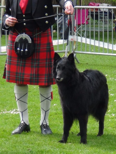 Ebene de la Tangi Morgane - 7ème excellent, COF