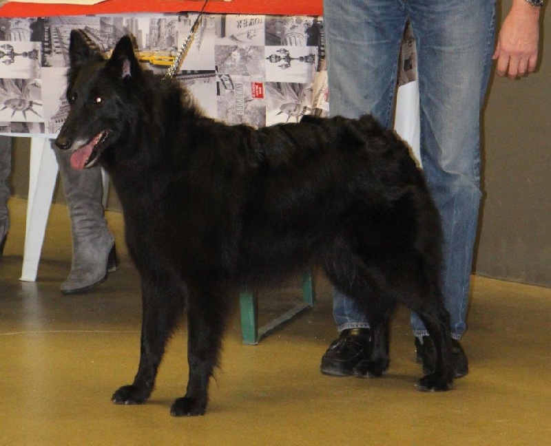 Ebene de la Tangi Morgane - 3ème Excellent COF