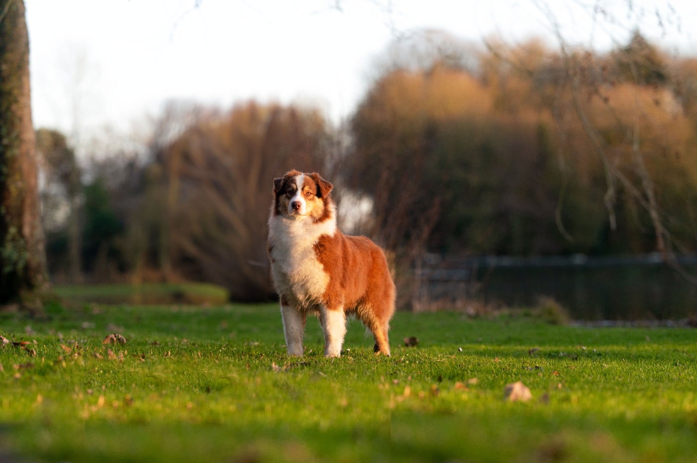 Publication : du chemin de la belle etoile