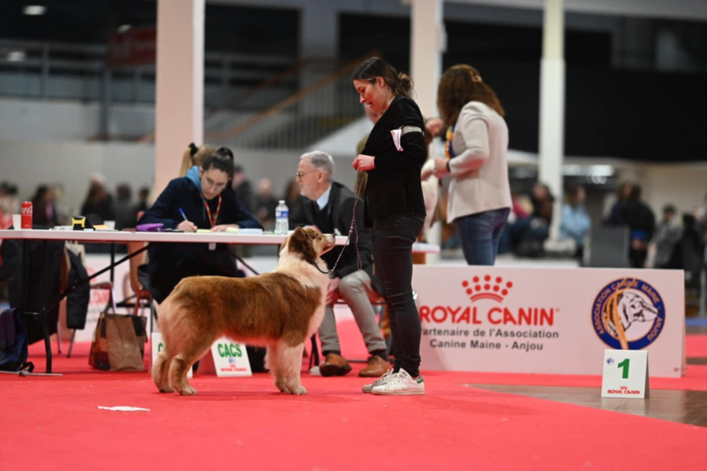 Publication : du chemin de la belle etoile
