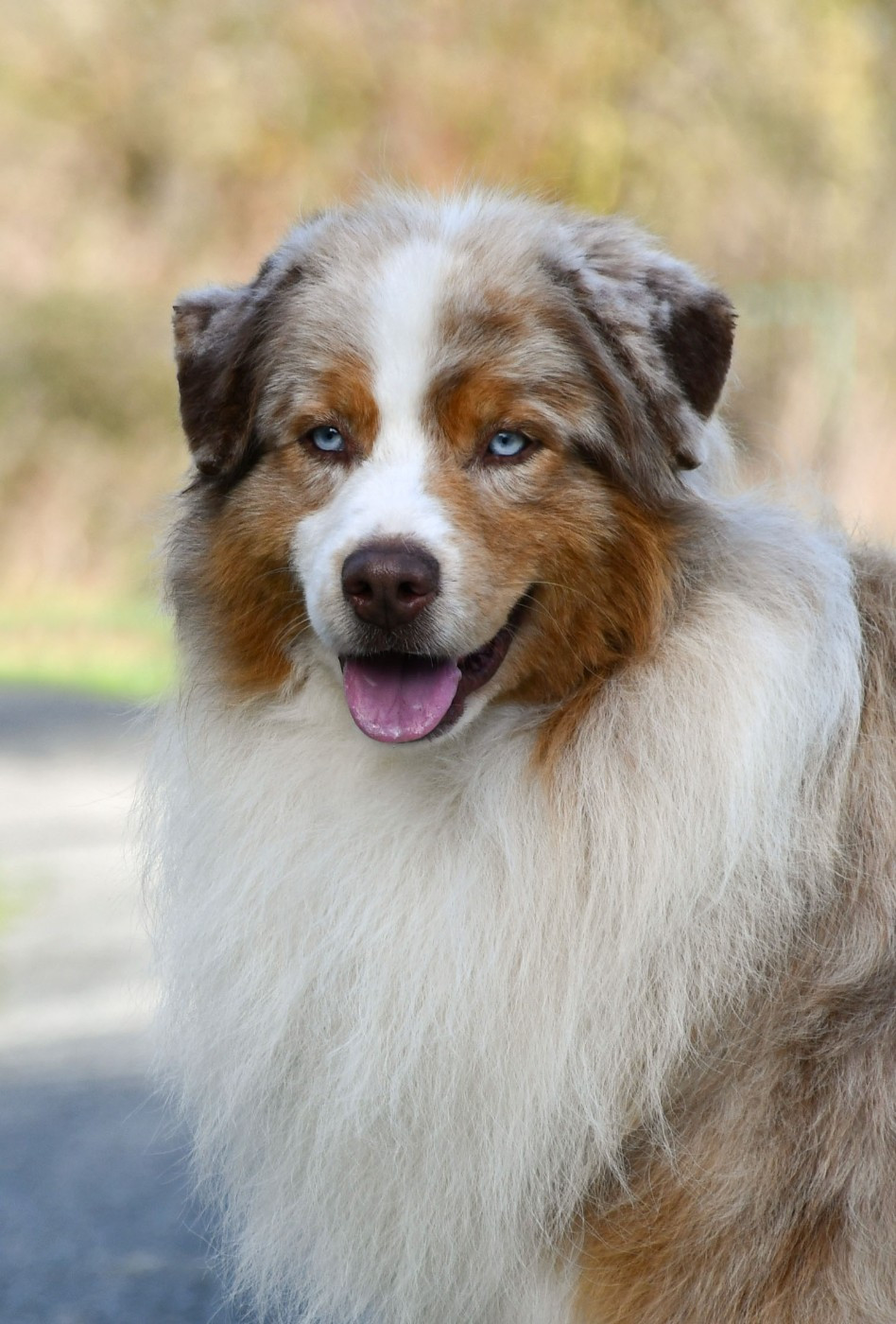 Publication : du chemin de la belle etoile