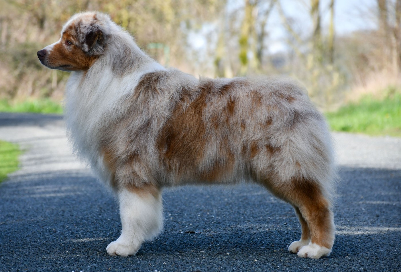 Publication : du chemin de la belle etoile