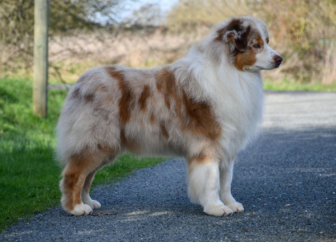 Publication : du chemin de la belle etoile