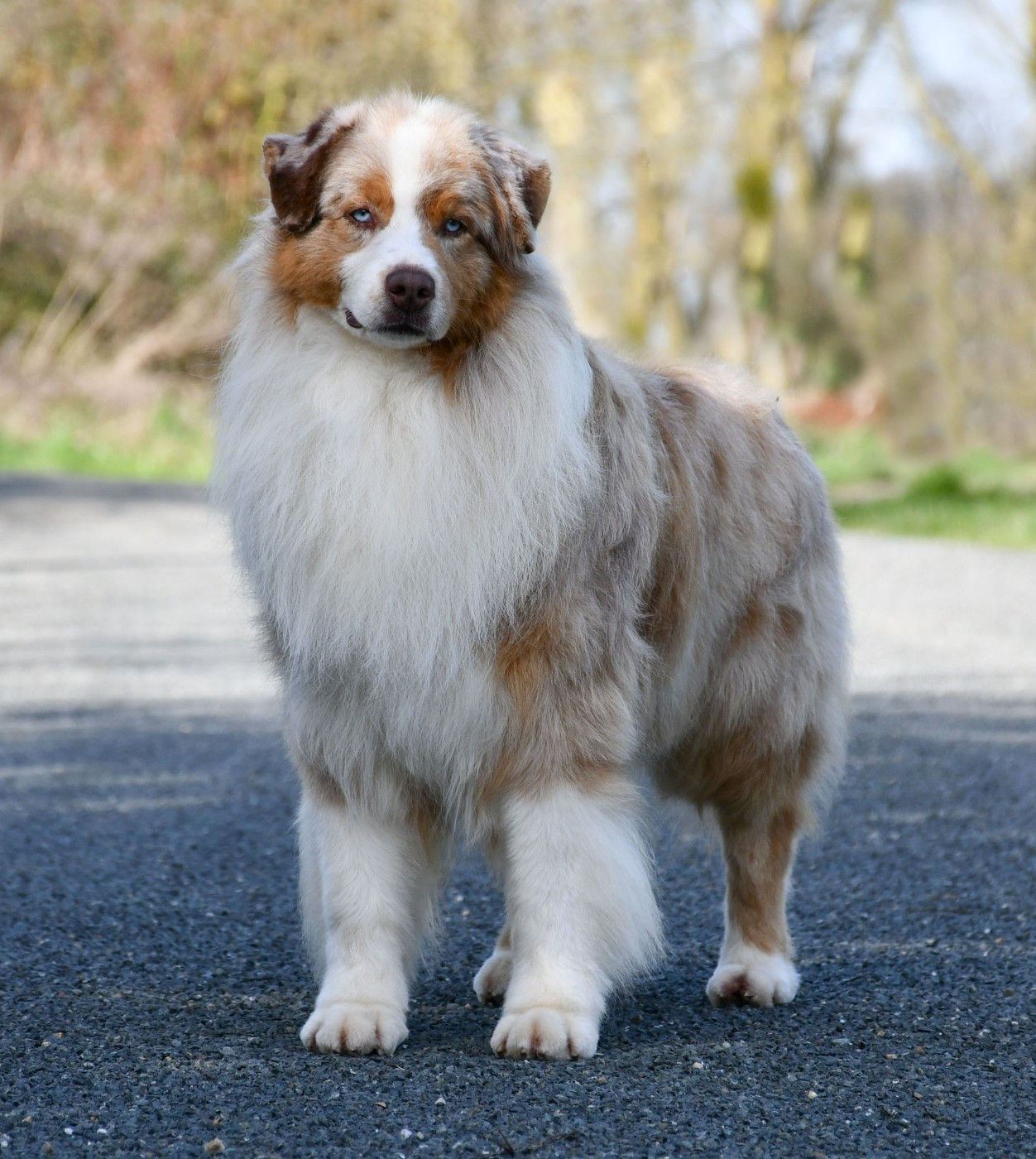 Publication : du chemin de la belle etoile