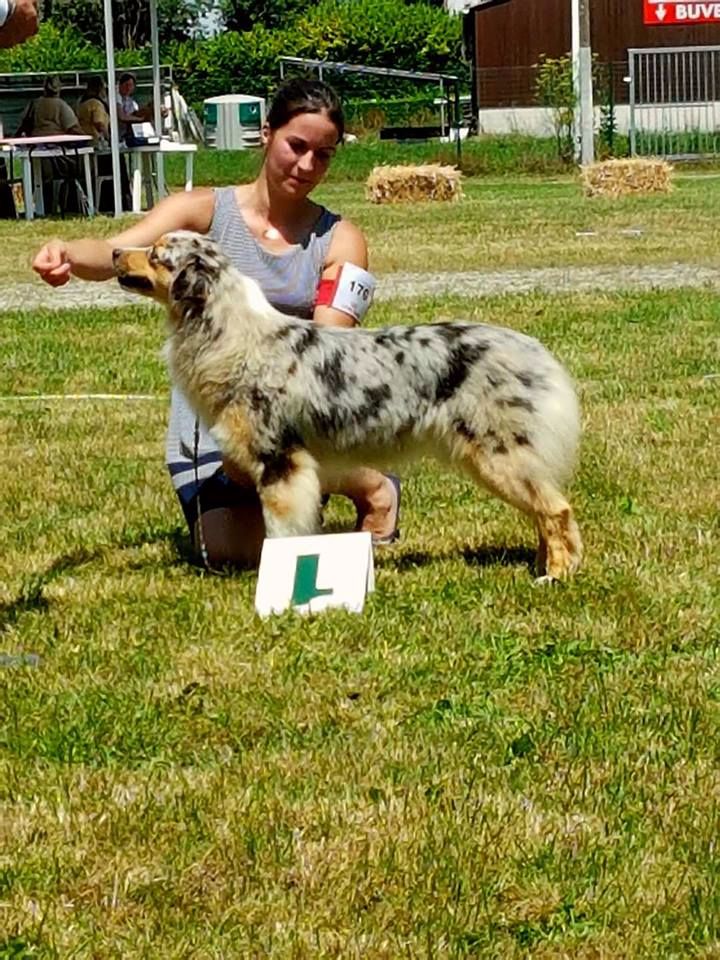 Move ya body du chemin de la belle etoile - 1 ère Excellent