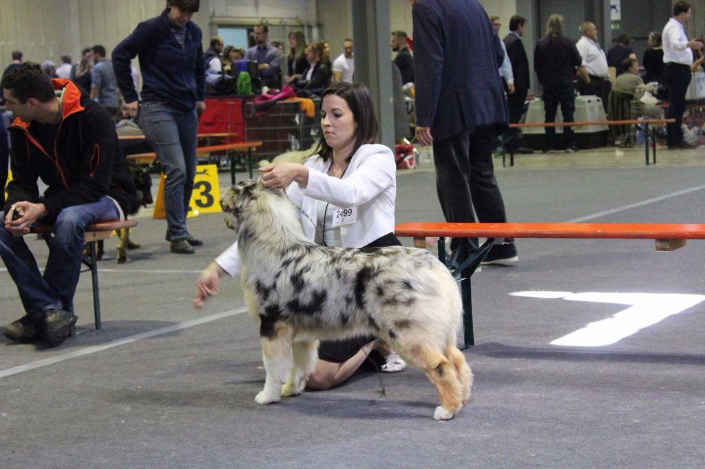 Move ya body du chemin de la belle etoile - Meilleur Puppy Femelle